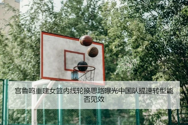 gong-lu-ming-chong-jian-nv-lan-nei-xian-lun-huan-si-lu-bao-guang-zhong-guo-dui-ti-su-zhuan-xing-neng-fou-jian-xiao-2-121.jpg