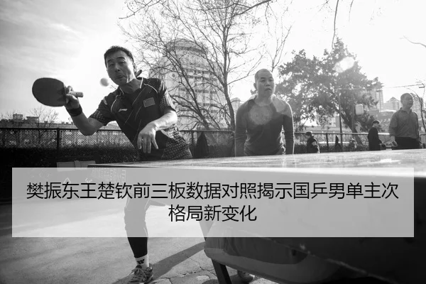 樊振东王楚钦前三板数据对照揭示国乒男单主次格局新变化